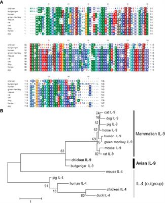 First Characterization of Chicken Interleukin-9